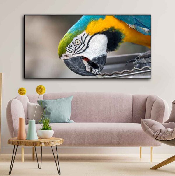 beautiful-macaw-parrot-canvas-wall-painting