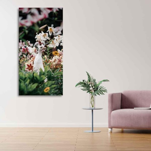 white-peacock-canvas-wall-painting