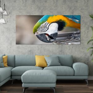 macaw-parrot-premium-canvas-wall-painting